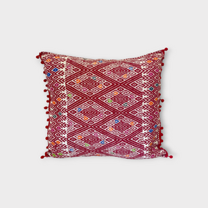 Mexican pillow, hand embroidered from Chiapas