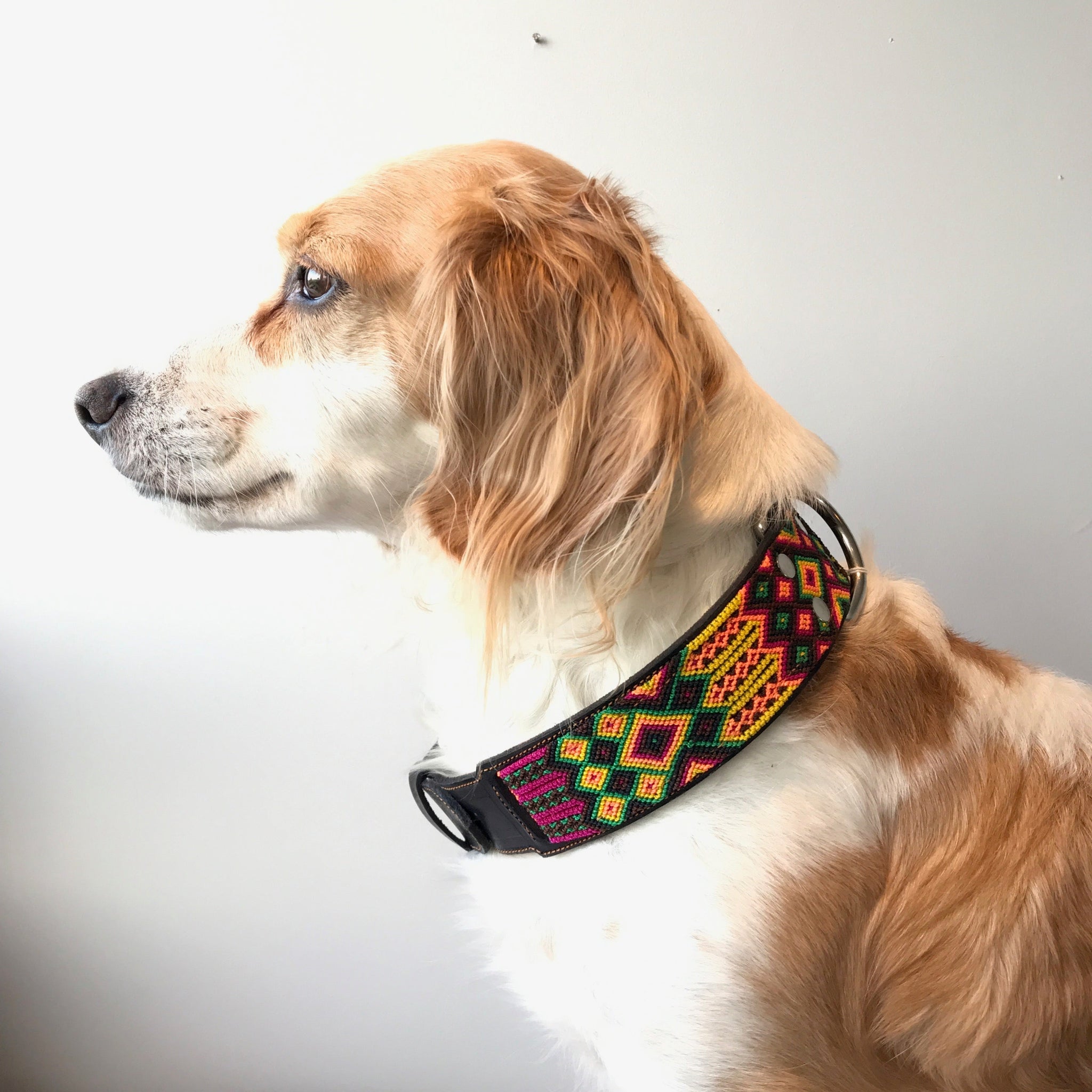 Leather and Macrame dog collar from Chiapas